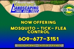 Handout cards designed to promote the Vanacore Landscaping business.